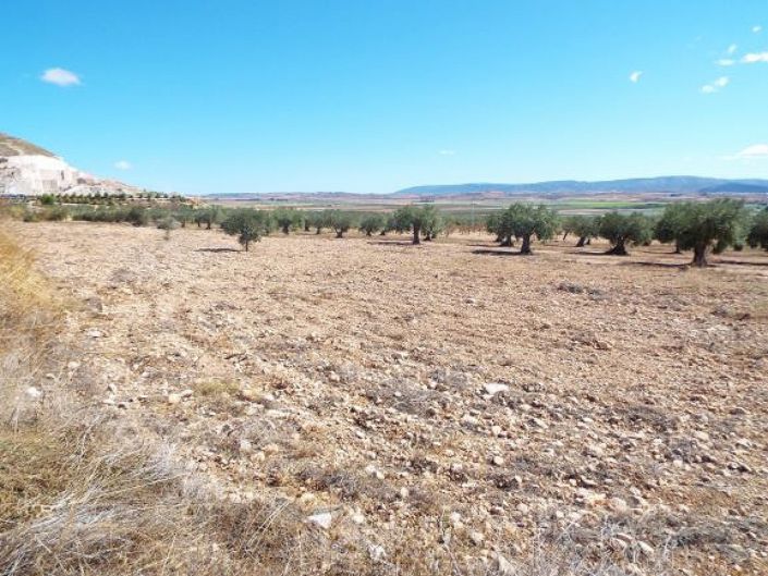 Image No.2-Land for sale