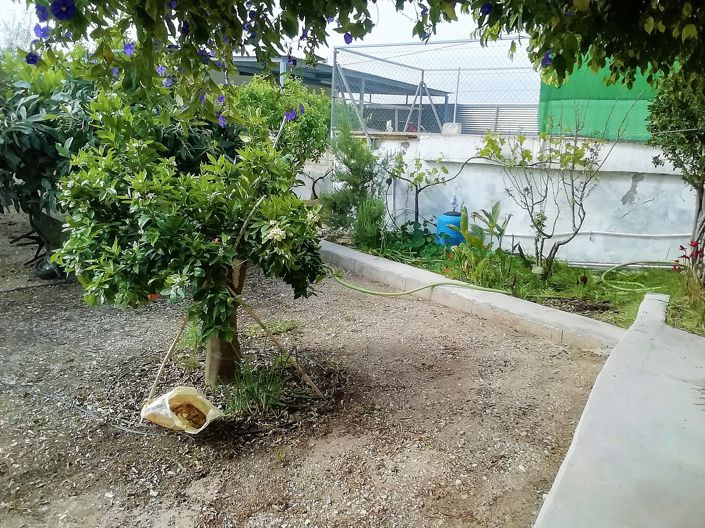 Image No.40-Villa de 4 chambres à vendre à Abanilla