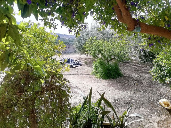 Image No.41-Villa de 4 chambres à vendre à Abanilla