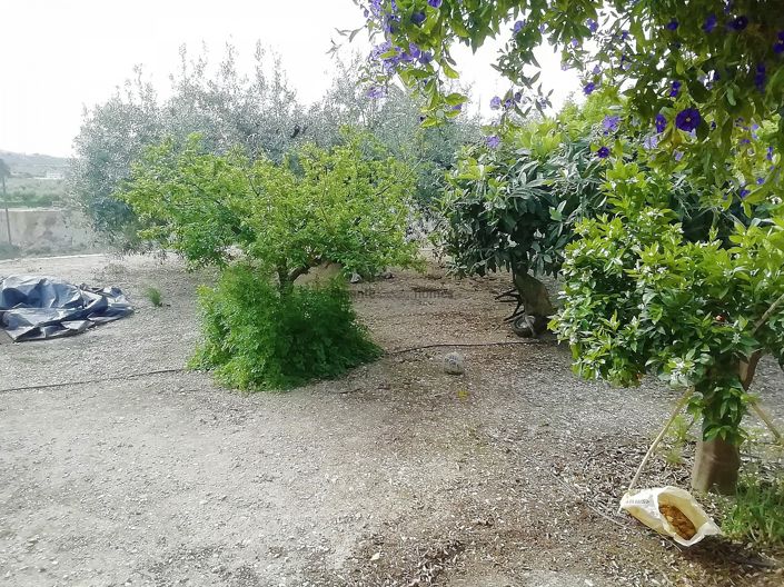 Image No.42-4 Bed Villa for sale