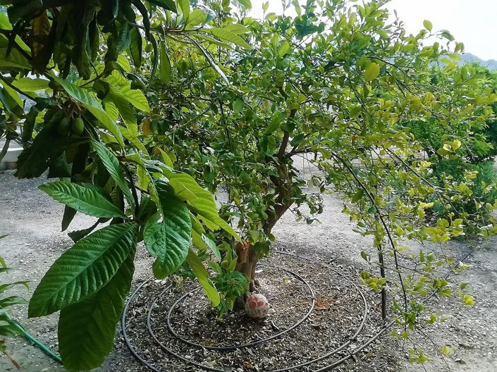 Image No.50-4 Bed Villa for sale