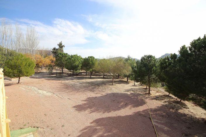 Image No.34-Villa de 4 chambres à vendre à Petrer