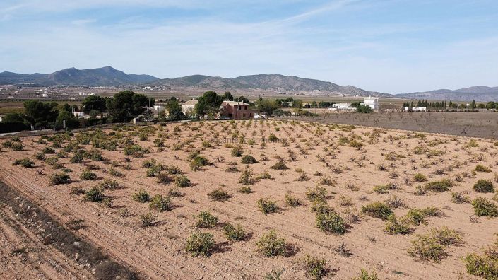 Image No.2-Land for sale