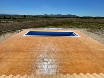 wu34p50fangp3qb38n7nr