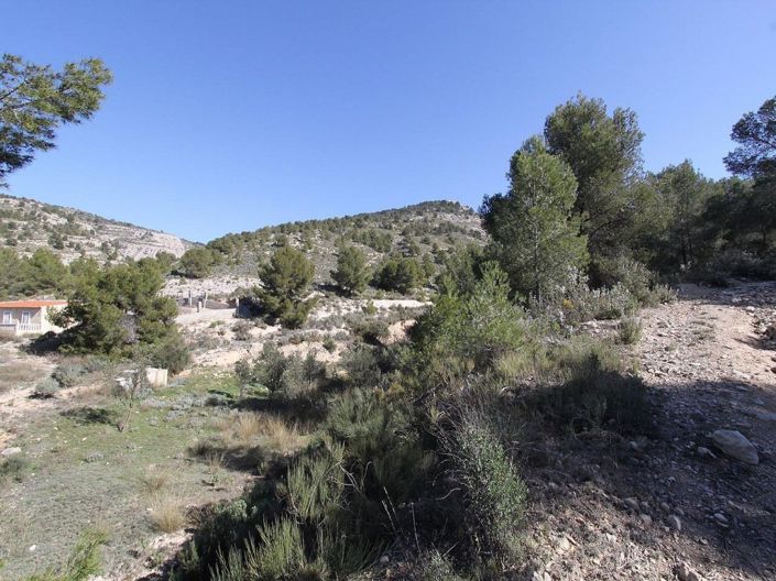 Image No.8-Villa de 3 chambres à vendre à Petrer