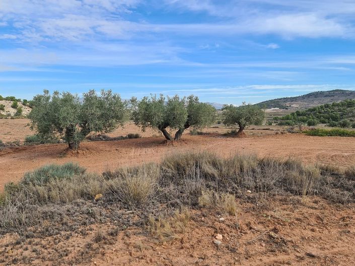 Image No.12-Land for sale