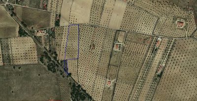 Alicante Dream Homes most sold property