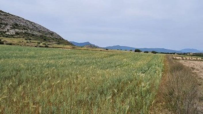 Image No.20-Villa de 3 chambres à vendre à Torre del Rico