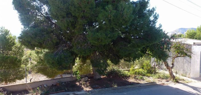 Image No.5-3 Bed House for sale