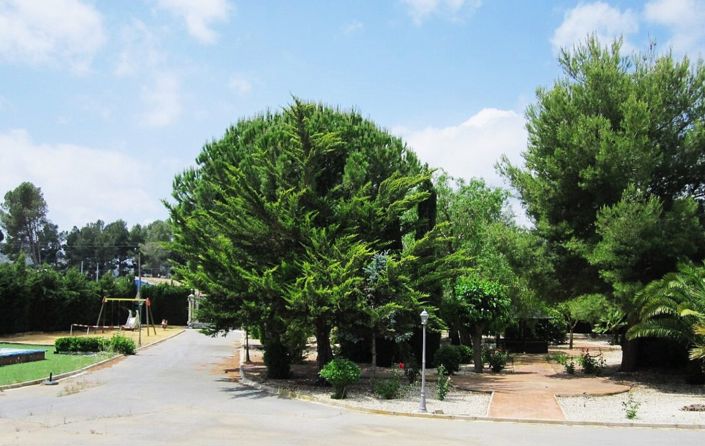 Image No.36-Villa de 6 chambres à vendre à Yecla