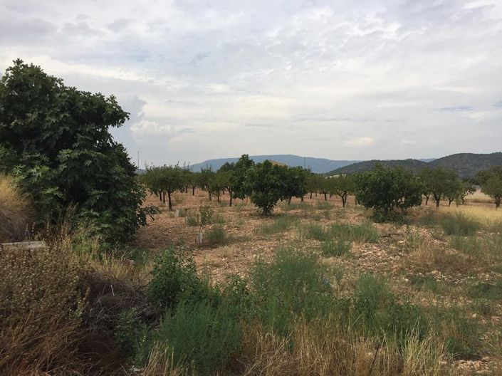 Image No.16-9 Bed Villa for sale