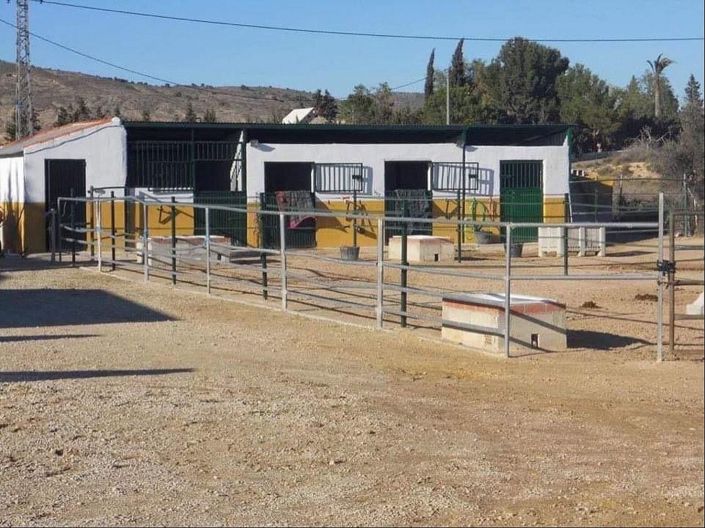 Image No.10-12 Bed Commercial for sale