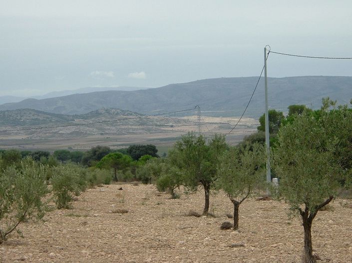 Image No.5-Land for sale