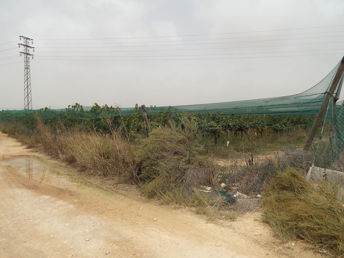 Image No.11-Land for sale