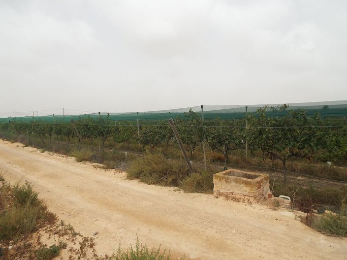 Image No.13-Land for sale