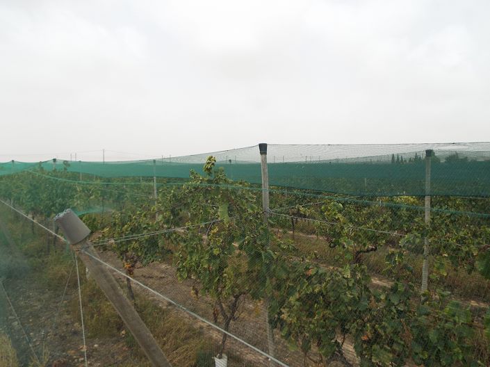 Image No.15-Land for sale