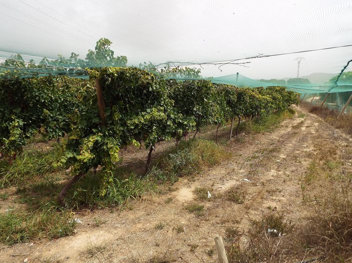 Image No.16-Land for sale