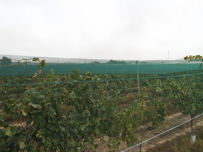 Image No.18-Land for sale