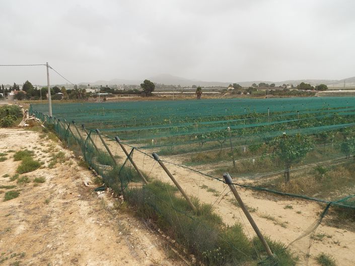Image No.2-Land for sale