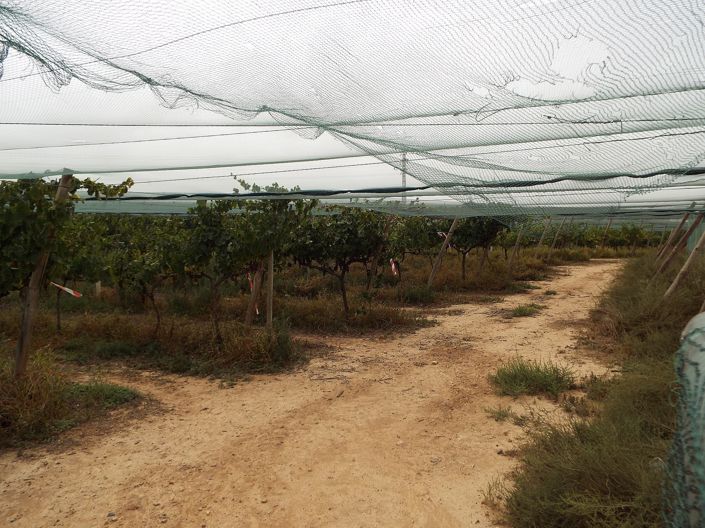 Image No.12-Land for sale