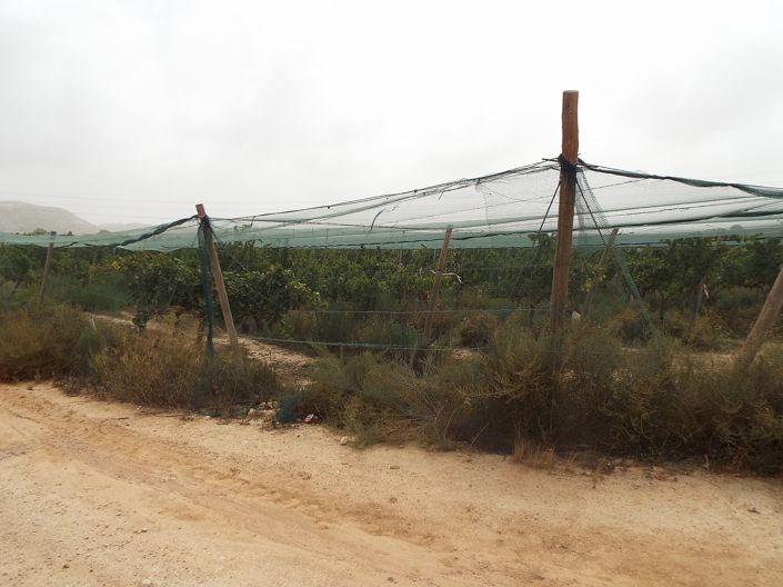 Image No.14-Land for sale