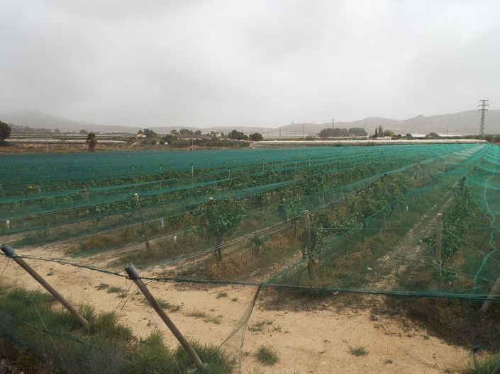 Image No.5-Land for sale