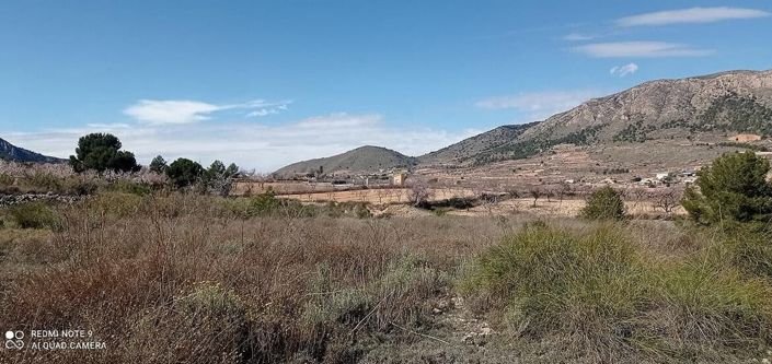 Image No.5-Land for sale