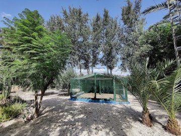 gvejf0hxxtd2yxa6yeqdf