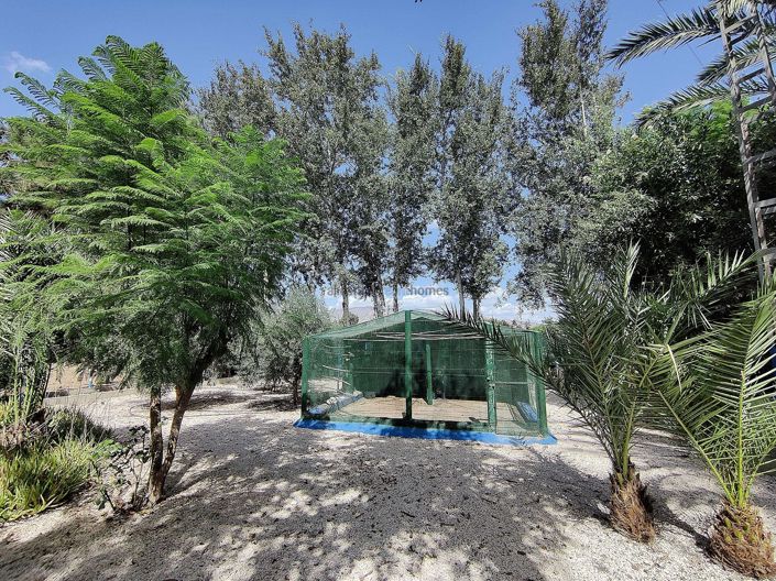 Image No.11-3 Bed Country House for sale