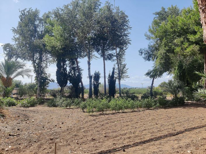 Image No.15-3 Bed Country House for sale