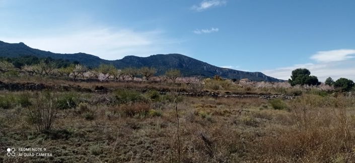 Image No.7-Land for sale