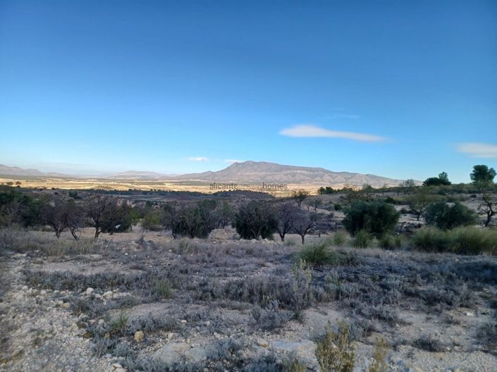 Image No.10-3 Bed Country House for sale