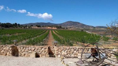 wcto8ebvxrfwztbgtz6ge