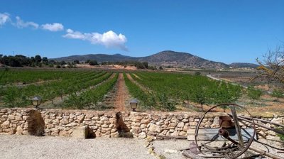 gcto8ebvxrfwztbgtz6ge