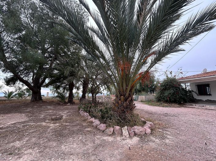 Image No.28-Maison de campagne de 9 chambres à vendre à Novelda