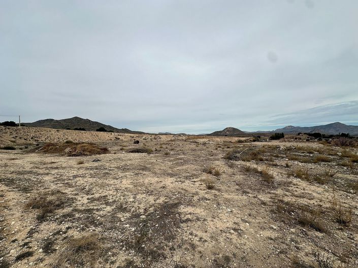 Image No.53-Maison de campagne de 9 chambres à vendre à Novelda