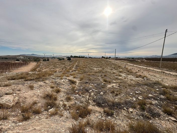 Image No.55-Maison de campagne de 9 chambres à vendre à Novelda