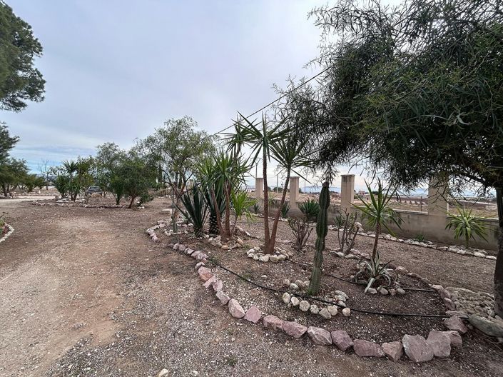 Image No.58-Maison de campagne de 9 chambres à vendre à Novelda