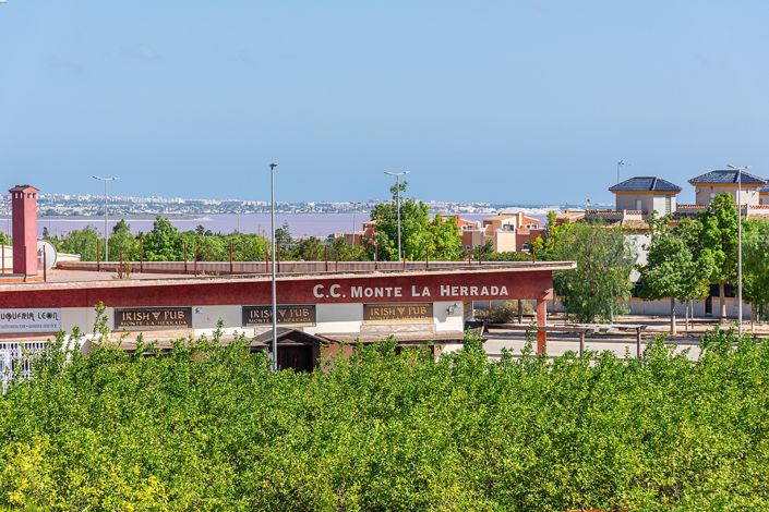 Image No.45-Villa de 3 chambres à vendre à Benijofar