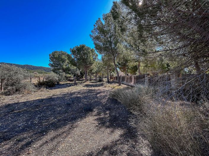 Image No.46-9 Bed Villa for sale