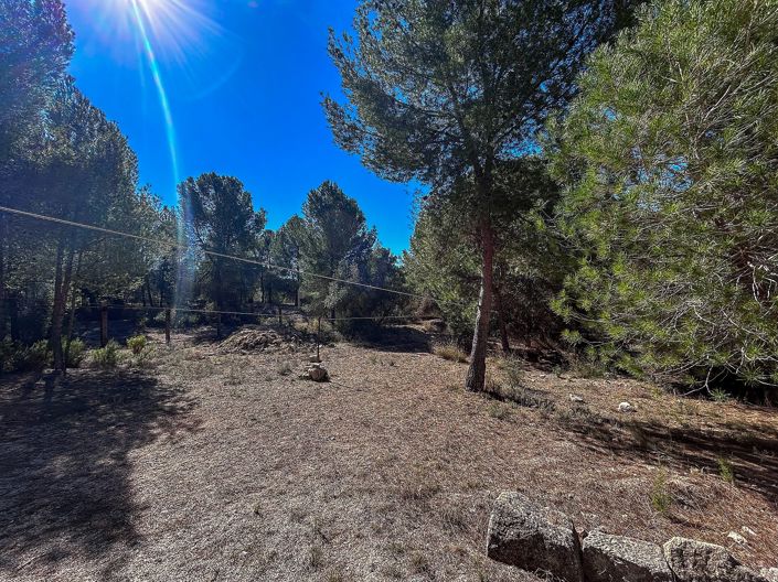 Image No.47-Villa de 9 chambres à vendre à Biar