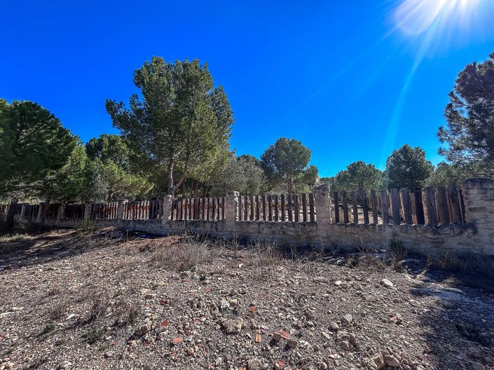 Image No.49-Villa de 9 chambres à vendre à Biar