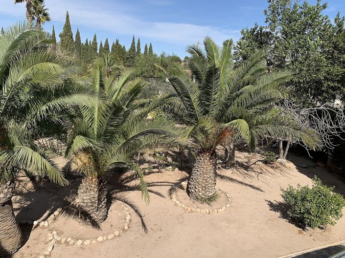 Image No.29-Villa de 3 chambres à vendre à Novelda