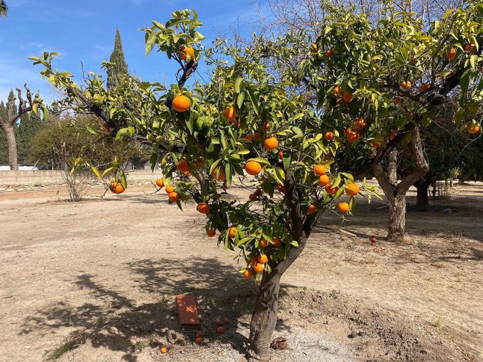 Image No.4-3 Bed Villa for sale