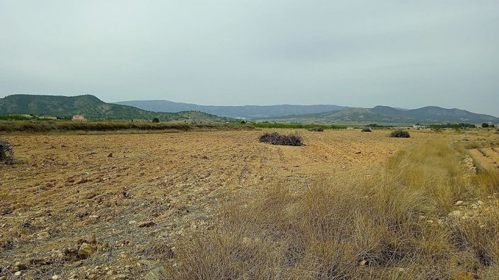 Image No.3-Land for sale