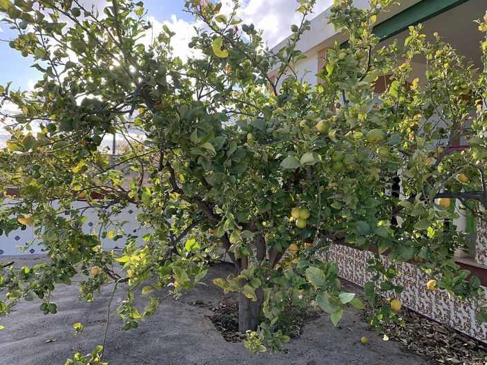 Image No.12-3 Bed Villa for sale