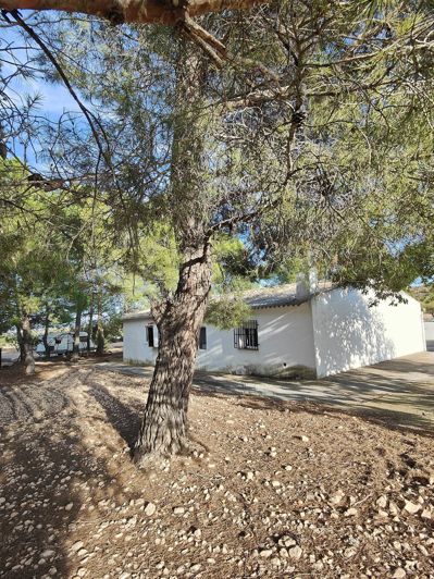 Image No.11-Maison de campagne de 3 chambres à vendre à Yecla