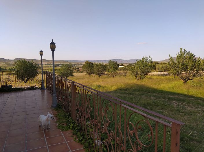 Image No.5-2 Bed Villa for sale