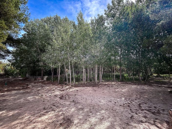 Image No.11-Maison de campagne à vendre à Almansa