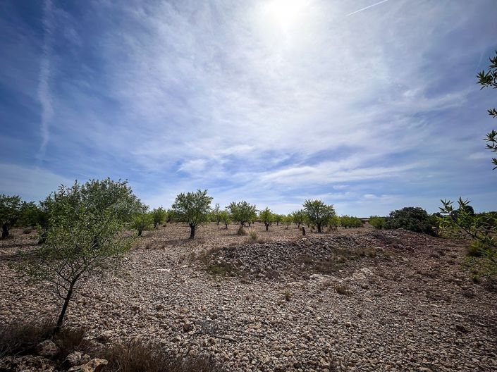Image No.30-Maison de campagne à vendre à Almansa